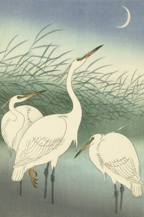 Japońska sztuka ukiyo-e w galerii Ukiyo-Japan.pl