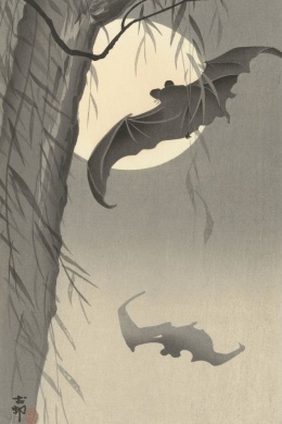 Japońska sztuka ukiyo-e w galerii Ukiyo-Japan.pl