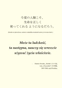 "Zbiory esejów" z Ukiyo-japan.pl (Michał Sobieraj) - Japonia po Japonii, Tom VI -  wersja papierowa (motto)